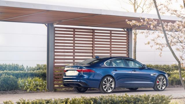 جاكوار XF
