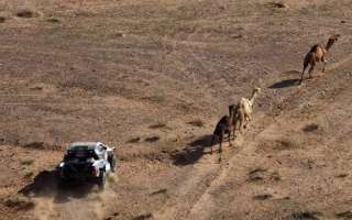 رالي دكار: العطية يحتفظ بالمركز الثاني رغم تأخره في المرحلة الخامسة الماراثونية