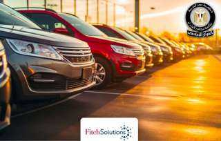 اشادة كبيرة من مؤسسة فيتش بنجاح مصر في جذب أكبر عدد من الاستثمارات في قطاع السيارات