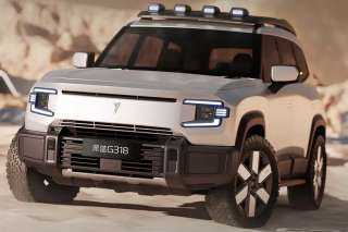 ديبال أكثر السيارات الكهربائية مبيعا خلال شهر نوفمبر