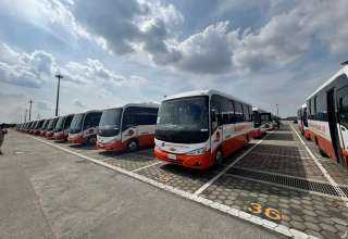 المنصور للسيارات تُصدر 100 حافلة إلى غانا في أول عملية تصدير من ميناء شرق بورسعيد إلى العالم