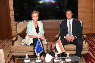 وزير الصناعة يبحث مع رئيسة بعثة الاتحاد الأوروبي زيادة الاستثمار في صناعة السيارات الأوروبية